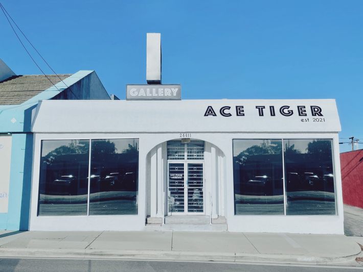 Ace Tiger Gallery est. 2021